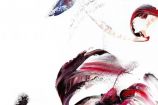 Roses / Anouk Van Renterghem