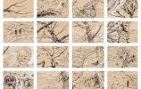 Haïkus de lueurs et de doutes / Liz Hascoët