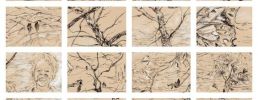 Haïkus de lueurs et de doutes / Liz Hascoët