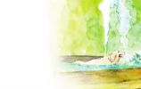 Illustration 19