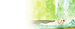 Illustration 19