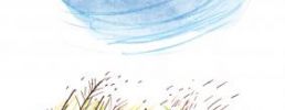 Illustration 5