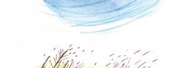 Illustration 5