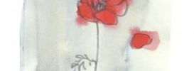 Illustration 8