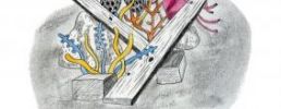 Illustration 12