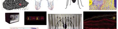 Ravages