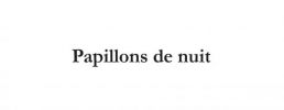 Papillons de nuit