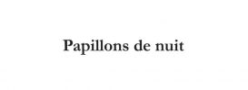 Papillons de nuit