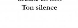 Creuse en moi Ton silence