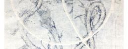 Illustration 1