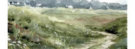 Illustration 11
