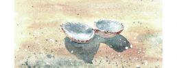 Illustration 15