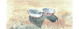 Illustration 15