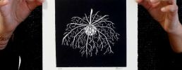 Linogravure 6