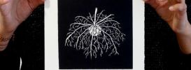Linogravure 6