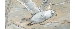 Illustration 1