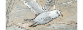 Illustration 1