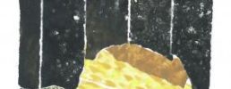 Illustration 13