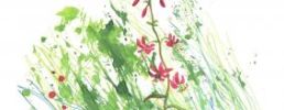 Illustration 12