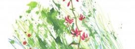 Illustration 12