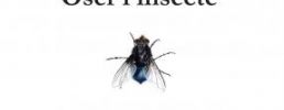 Oser l'insecte