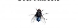 Oser l'insecte