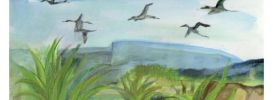 Illustration 1