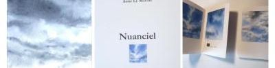 Nuanciel