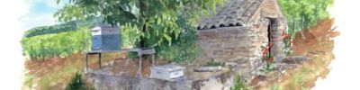 Quatre saisons de la vigne - L'été