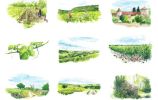 Quatre saisons de la vigne Le printemps / Anne Le Maître