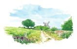Illustration 9