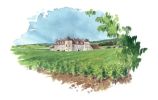 Illustration 5