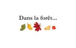 Calendrier Dans la forêt... A6