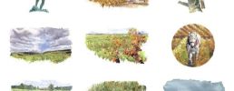 Quatre saisons de la vigne L'automne / Anne Le Maître