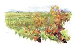 Illustration 4