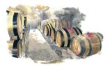 Illustration 10