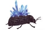 Illustration 15