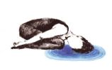 Illustration 18