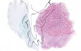 Illustration 14