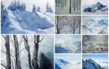 Blanc comme la neige / Hervé Espinosa