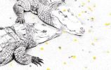 Illustration 5