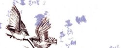 Illustration 20