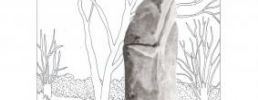 Illustration 11