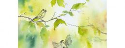 Illustration 6
