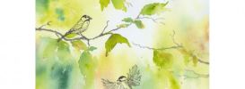 Illustration 6