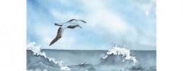 Illustration 9