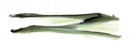 Illustration 7