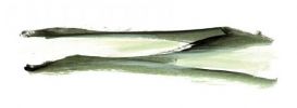 Illustration 7