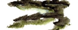 Illustration 8
