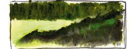 Illustration 17